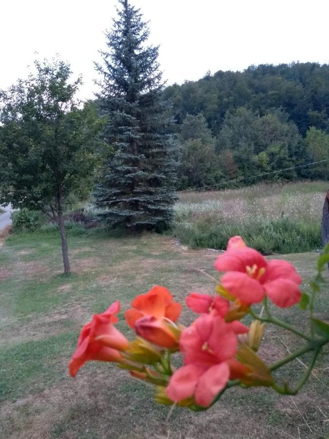 Apartman Sveti Rok Zewnętrze zdjęcie