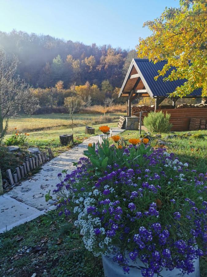 Apartman Sveti Rok Zewnętrze zdjęcie